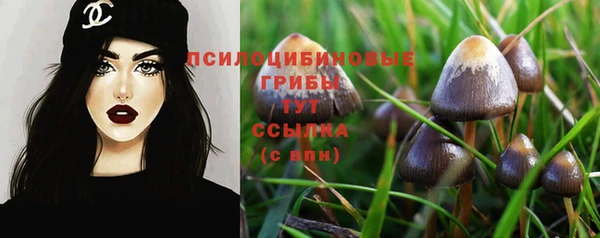 каннабис Алзамай