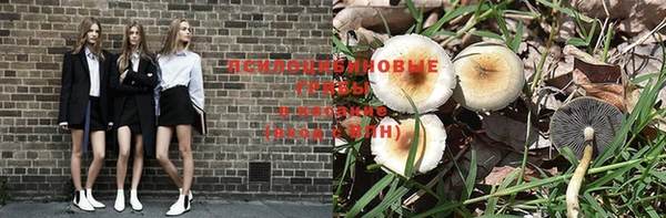 эйфоретик Алексин