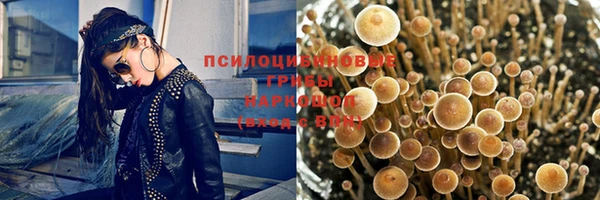 каннабис Алзамай