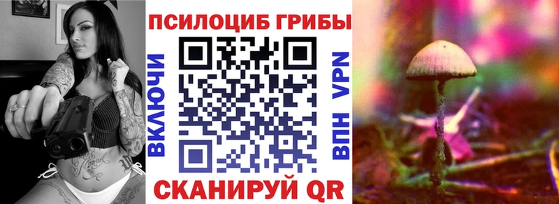 Псилоцибиновые грибы Psilocybe  Иннополис 