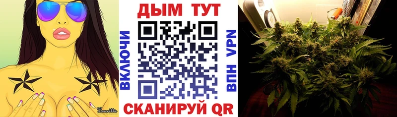 Шишки марихуана семена  сколько стоит  OMG tor  Иннополис 